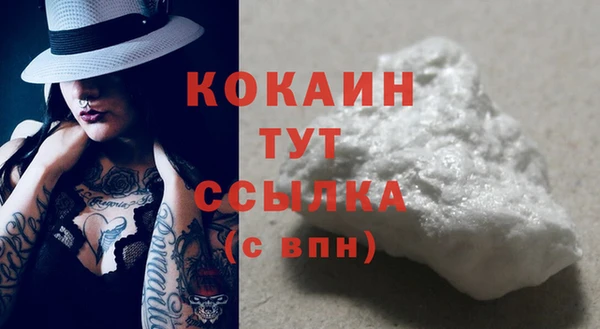 дживик Няндома