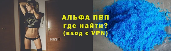 дживик Няндома