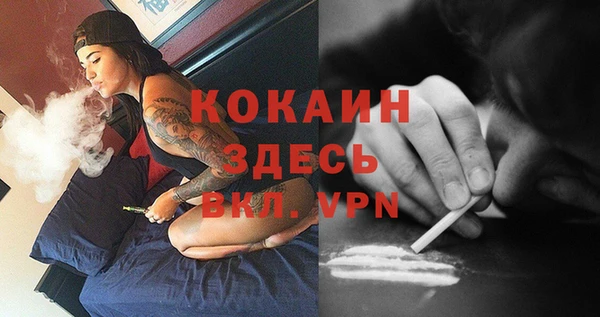 дживик Няндома