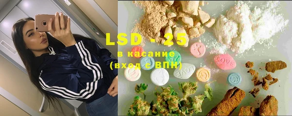 дживик Няндома