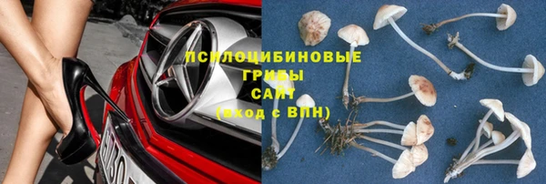 герыч Бежецк