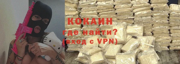 дживик Няндома