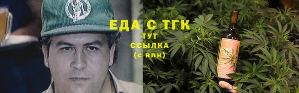 дживик Няндома