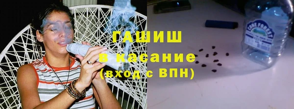 дживик Няндома