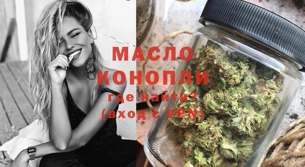 дживик Няндома