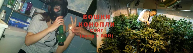 Марихуана SATIVA & INDICA  Луза 